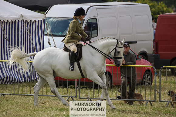 2015 Ossy Show -52