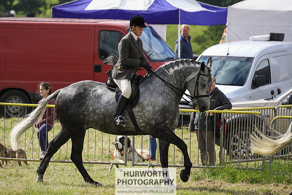 2015 Ossy Show -54