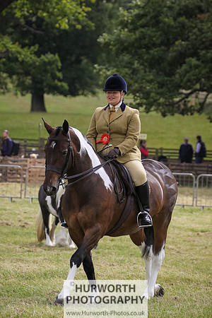2015 Ossy Show -56