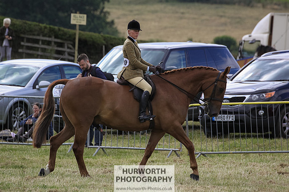 2015 Ossy Show -58