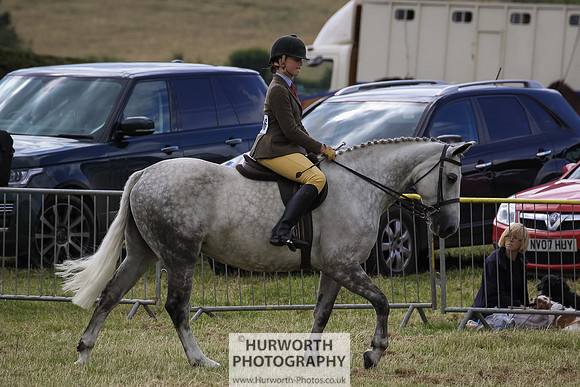 2015 Ossy Show -59