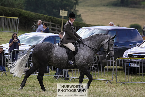 2015 Ossy Show -57