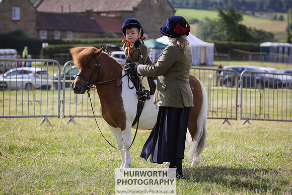 2015 Ossy Show -1