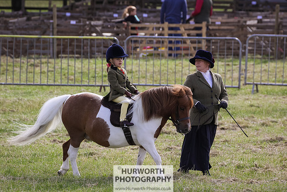 2015 Ossy Show -2