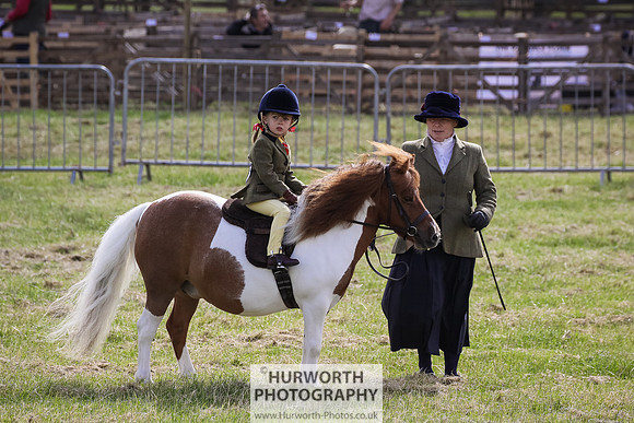 2015 Ossy Show -3