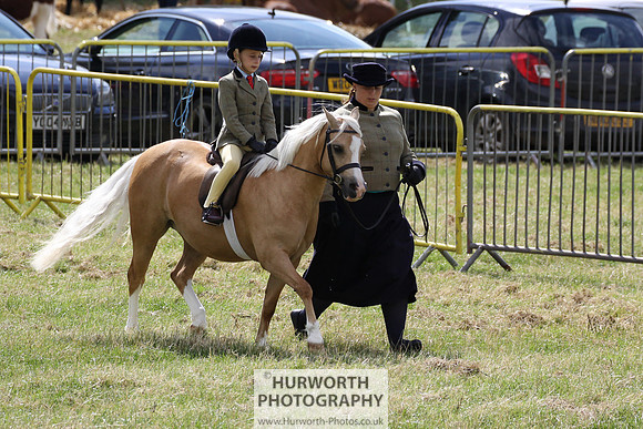 2015 Ossy Show -4