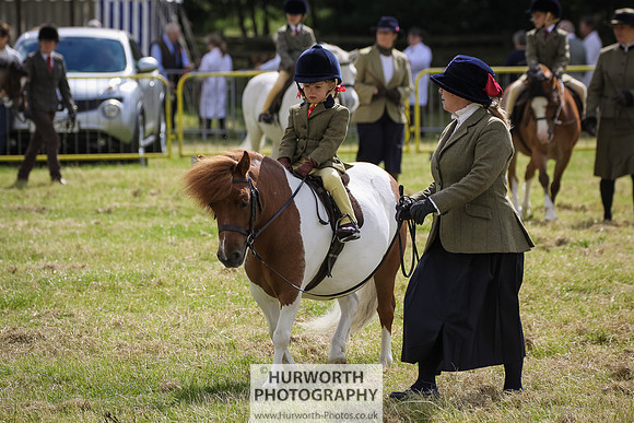 2015 Ossy Show -5