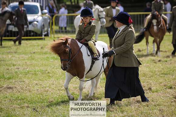 2015 Ossy Show -6