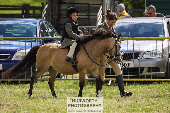 2015 Ossy Show -8