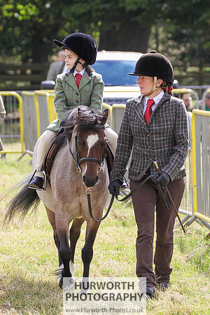 2015 Ossy Show -10