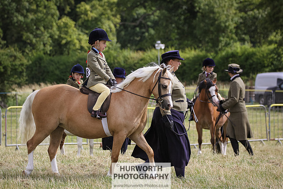 2015 Ossy Show -13