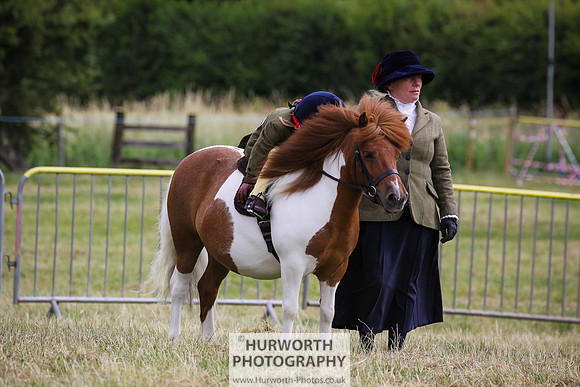 2015 Ossy Show -17