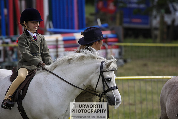 2015 Ossy Show -18