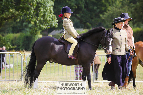2015 Ossy Show -19