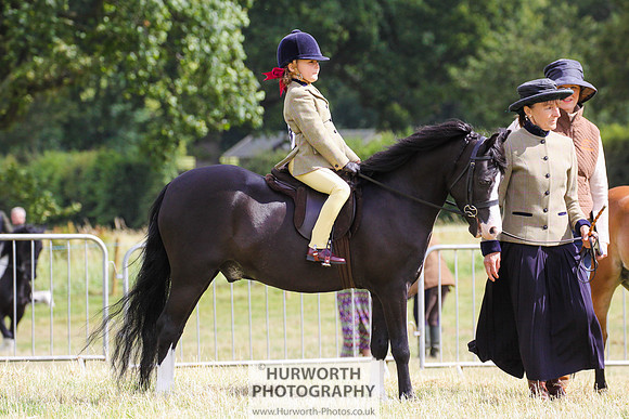 2015 Ossy Show -20