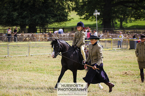 2015 Ossy Show -21