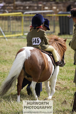 2015 Ossy Show -25