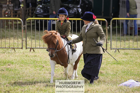 2015 Ossy Show -26