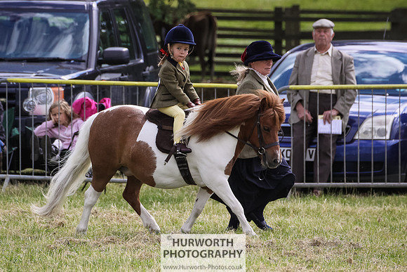 2015 Ossy Show -27
