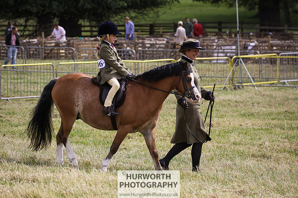2015 Ossy Show -28