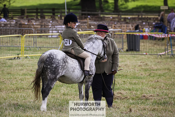 2015 Ossy Show -31
