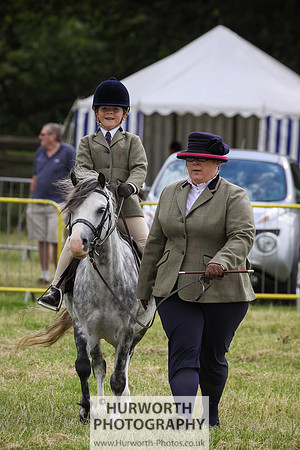 2015 Ossy Show -33
