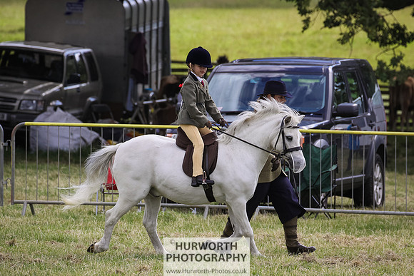 2015 Ossy Show -37
