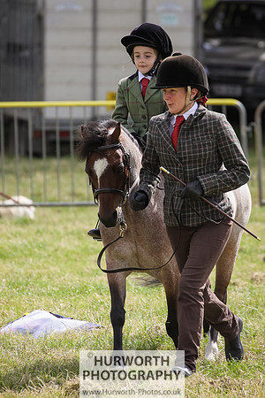 2015 Ossy Show -41