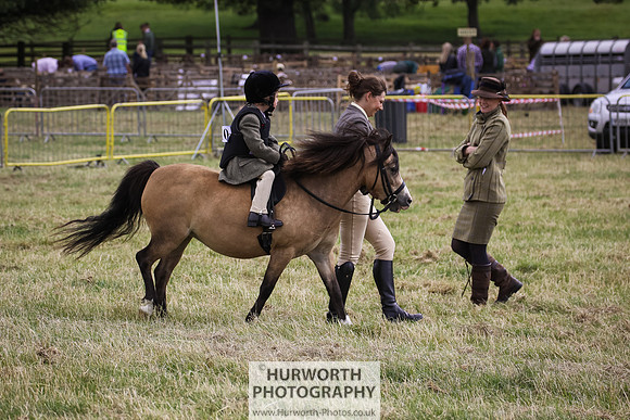 2015 Ossy Show -43