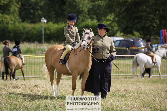 2015 Ossy Show -48