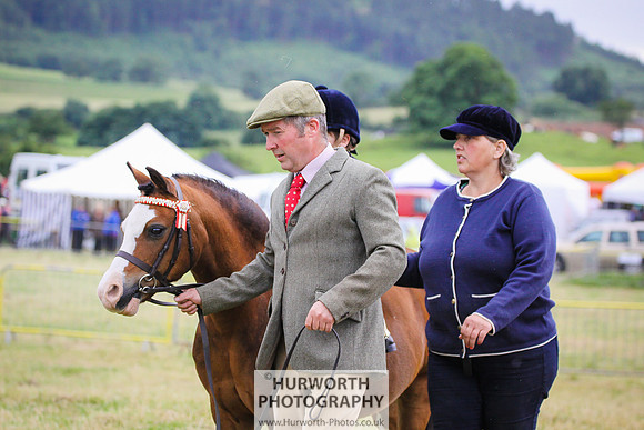 2015 Ossy Show -52