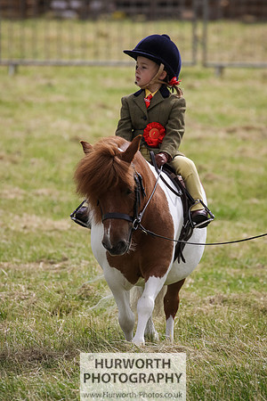 2015 Ossy Show -49