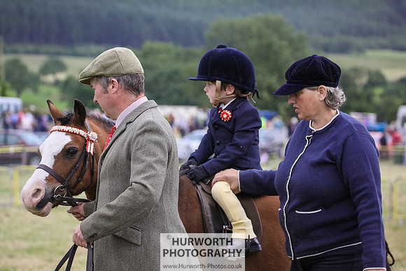 2015 Ossy Show -53