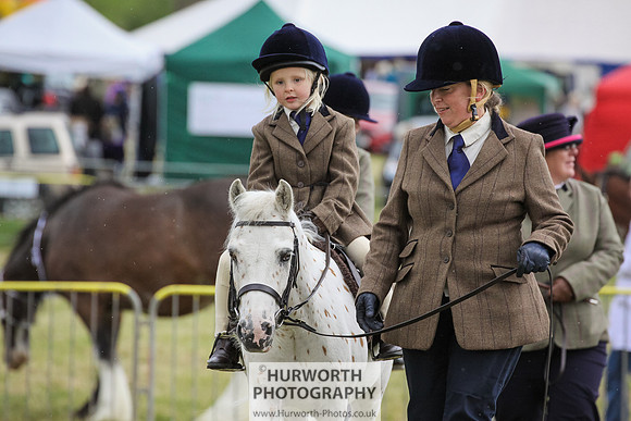 2015 Ossy Show -54