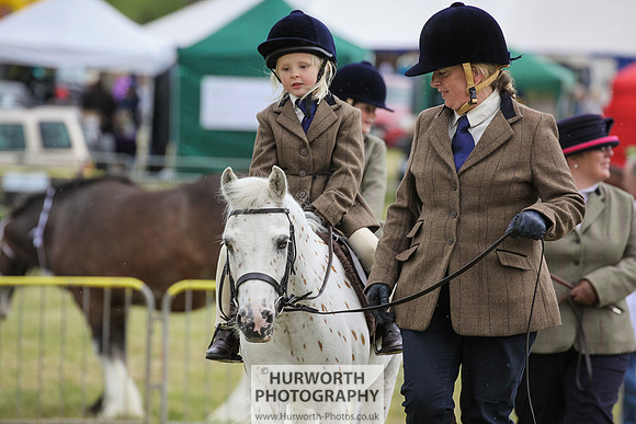 2015 Ossy Show -55