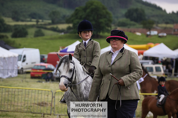 2015 Ossy Show -56