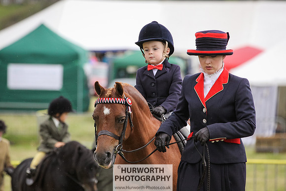 2015 Ossy Show -57