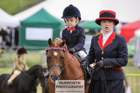 2015 Ossy Show -58