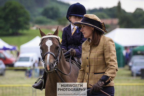 2015 Ossy Show -61