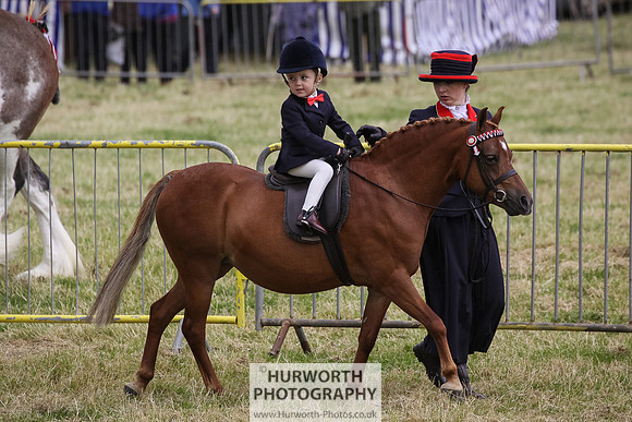 2015 Ossy Show -62