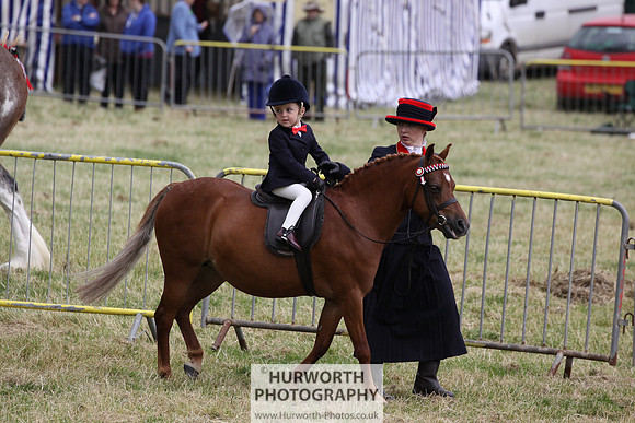 2015 Ossy Show -63