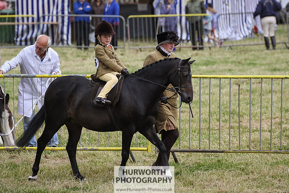 2015 Ossy Show -64