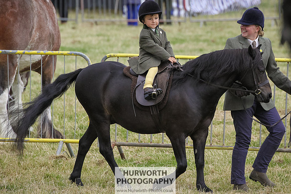 2015 Ossy Show -67