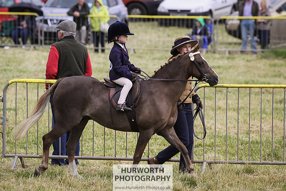 2015 Ossy Show -66