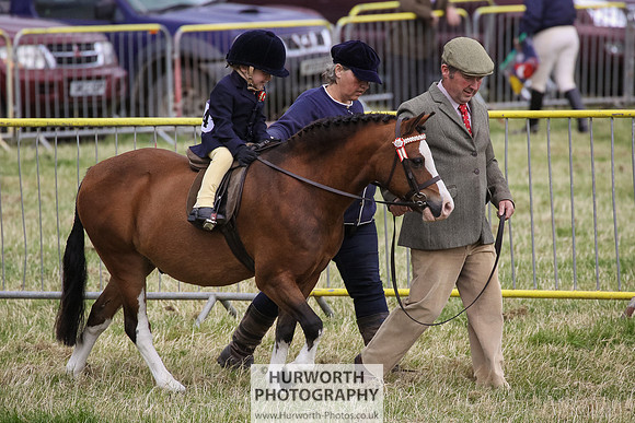 2015 Ossy Show -68