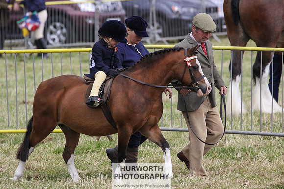 2015 Ossy Show -69