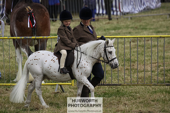 2015 Ossy Show -70