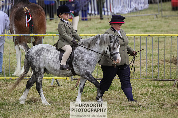2015 Ossy Show -71