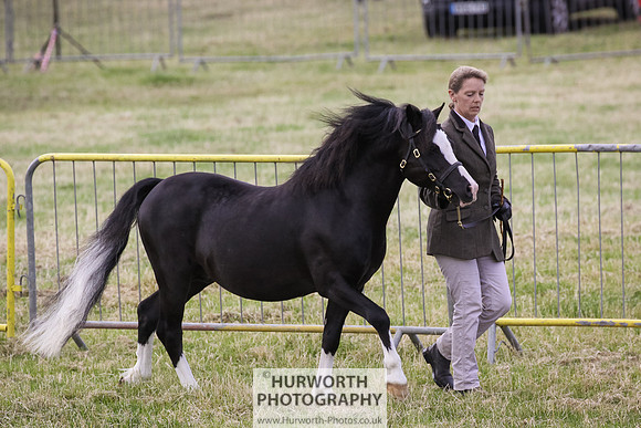 2015 Ossy Show -1