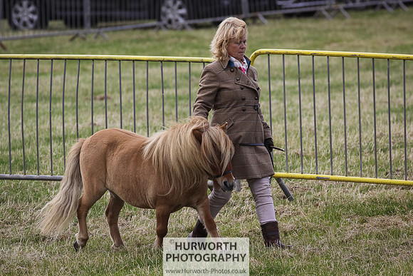 2015 Ossy Show -2